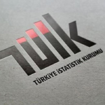 TÜİK Başkan Yardımcısı Şahin görevden alındı