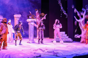 Van’da ilkokul öğrencileri kaplumbağa silva oyununu izledi