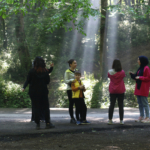 Eyüpsultan’da kişi başına 15 metrekare yeşil alan düşüyor