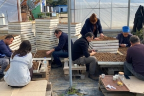 Bodrum Belediyesinden Atalık Tohum Ekimi 