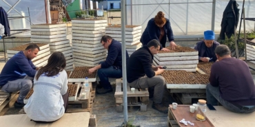 Bodrum Belediyesinden Atalık Tohum Ekimi 