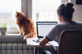 Gençleri iş ve burs vaadiyle kandırmaya çalışıyorlar