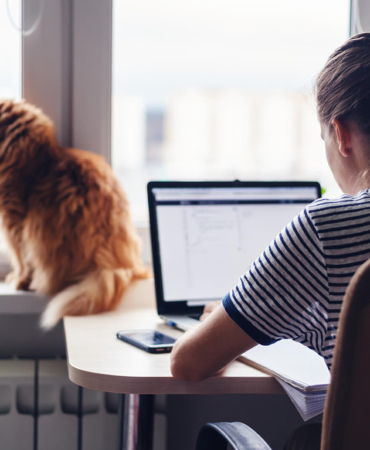 Gençleri iş ve burs vaadiyle kandırmaya çalışıyorlar