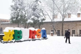 bursa