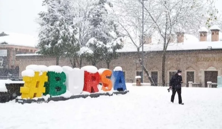 bursa