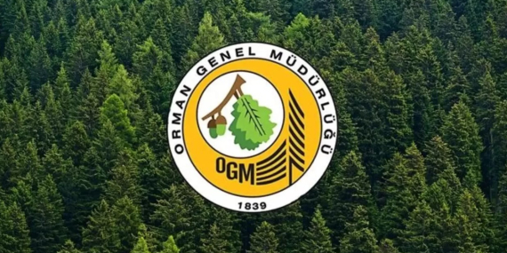OGM Uyardı: Orman Yangını Riski Kapıda!